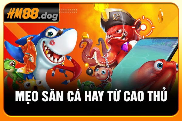 Mẹo săn cá hay từ cao thủ Mẹo săn cá hay từ cao thủ