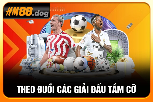 Theo đuổi các giải đấu tầm cỡ